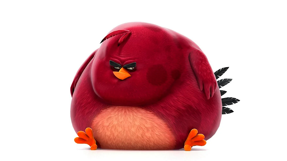 Angry Birds Теренс