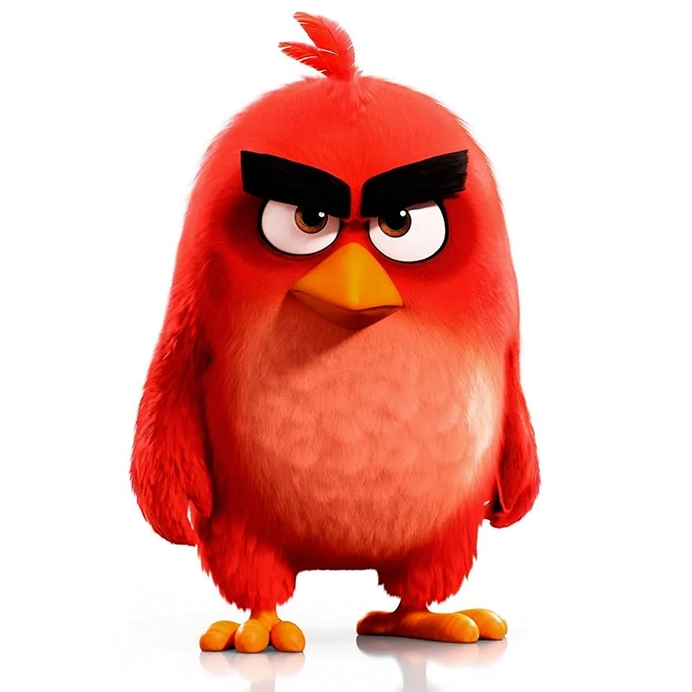 Angry Birds в кино Рэд