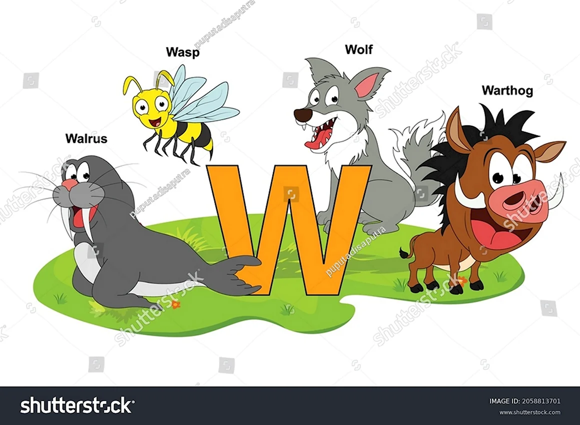 Animals starting with h