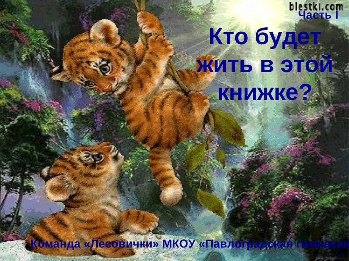 Анимация животные