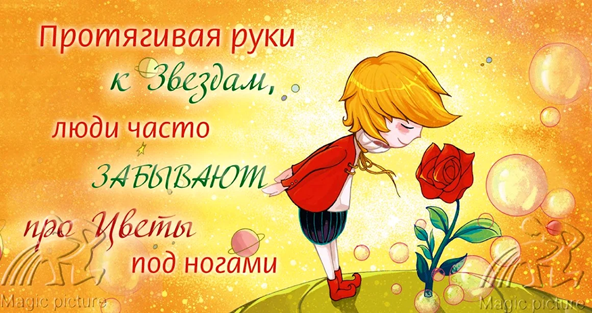 Антуан де сент-Экзюпери маленький принц роза