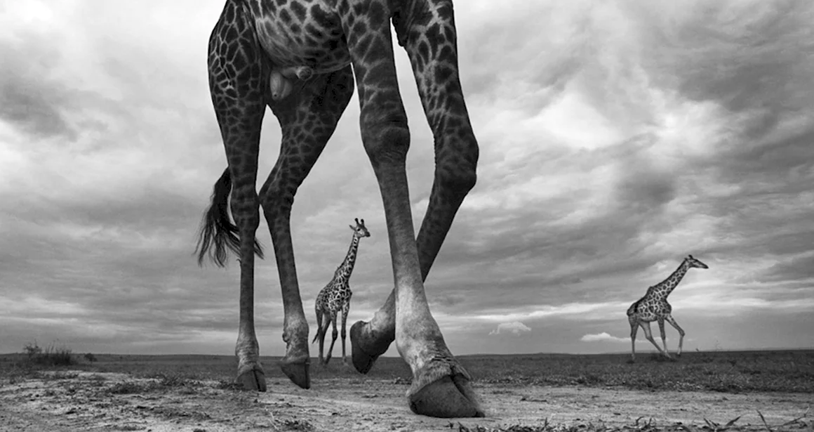 Anup Shah