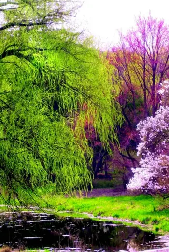 Апрель природа