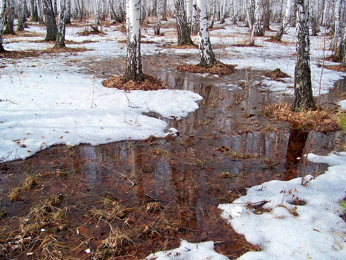 Апрель снегогон