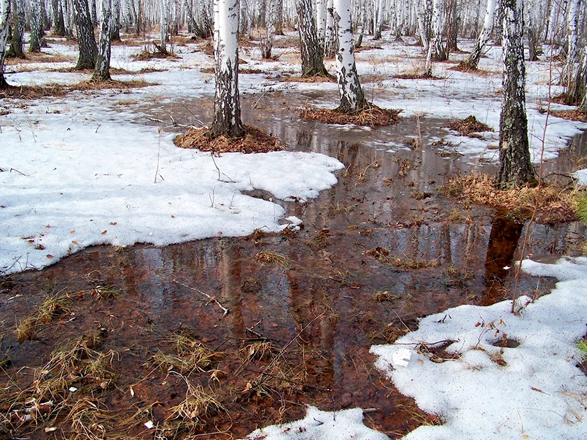 Апрель снегогон