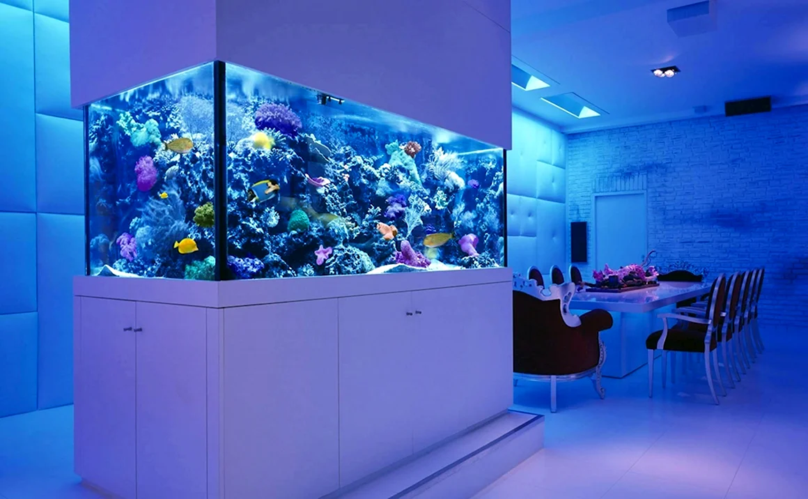 Aquaworld аквариум