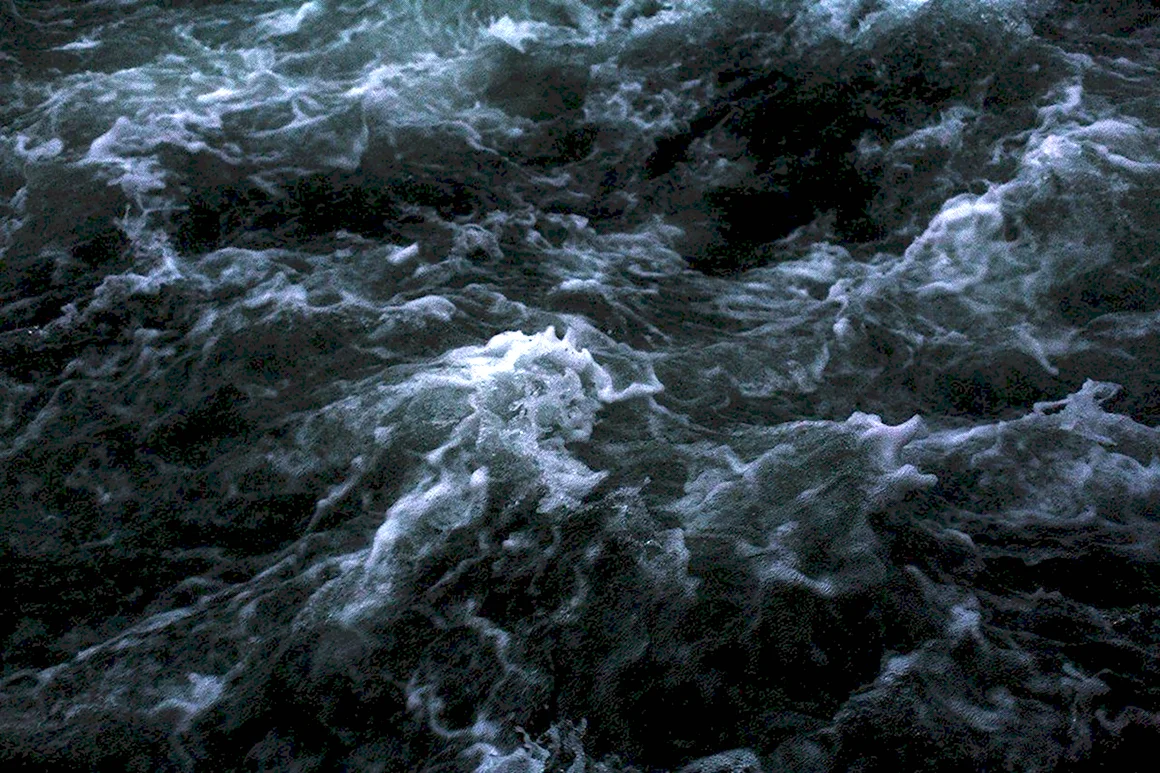Aristotle and Dante Dive into the Waters of the World