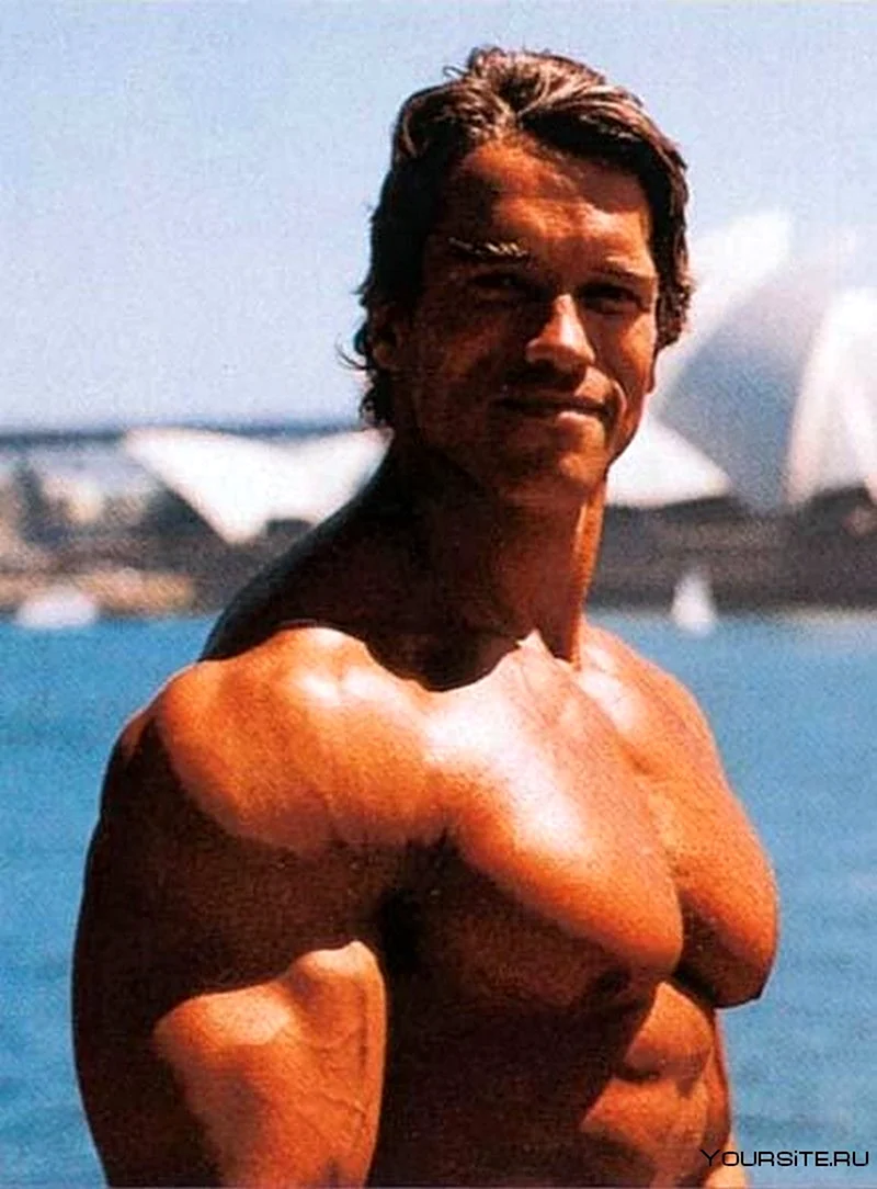 Arnold Schwarzenegger 1992