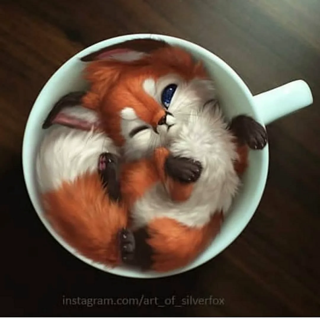 Art of Silverfox лисята кофе