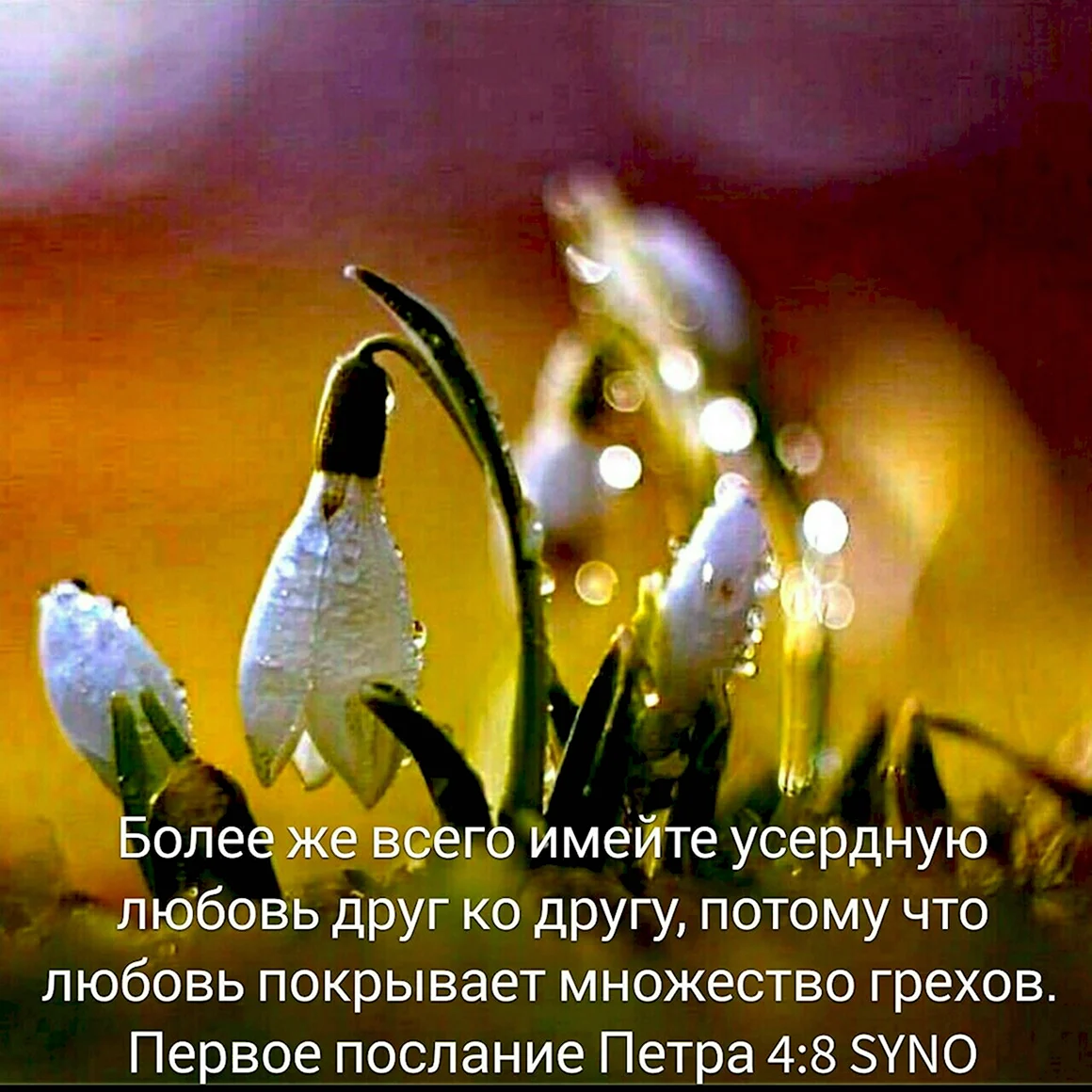 Аватар Весна