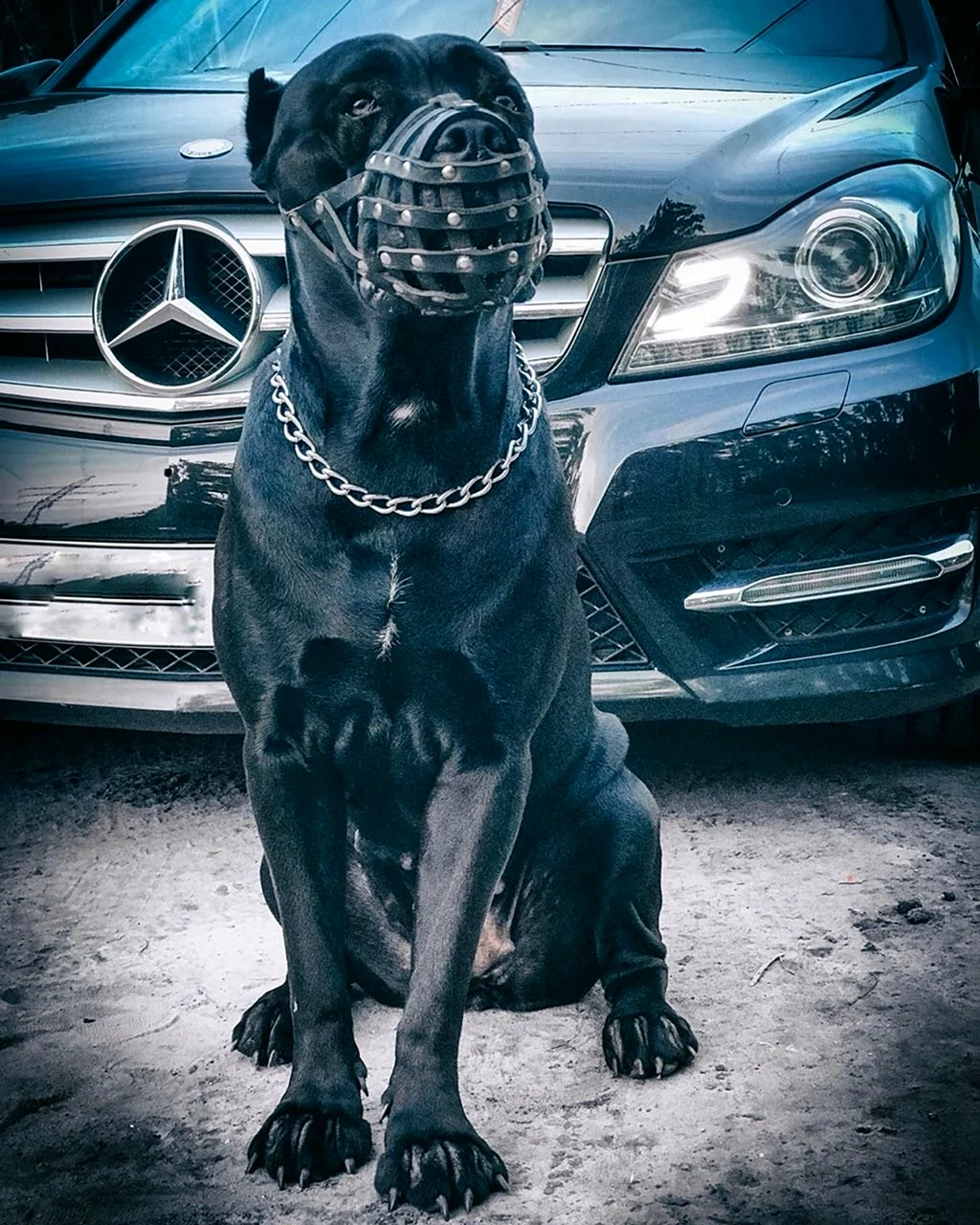 Аватарки