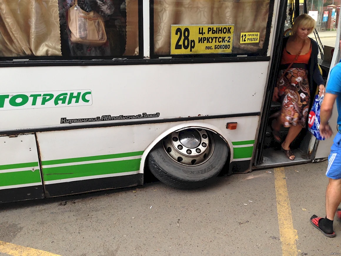 Автобус прикол