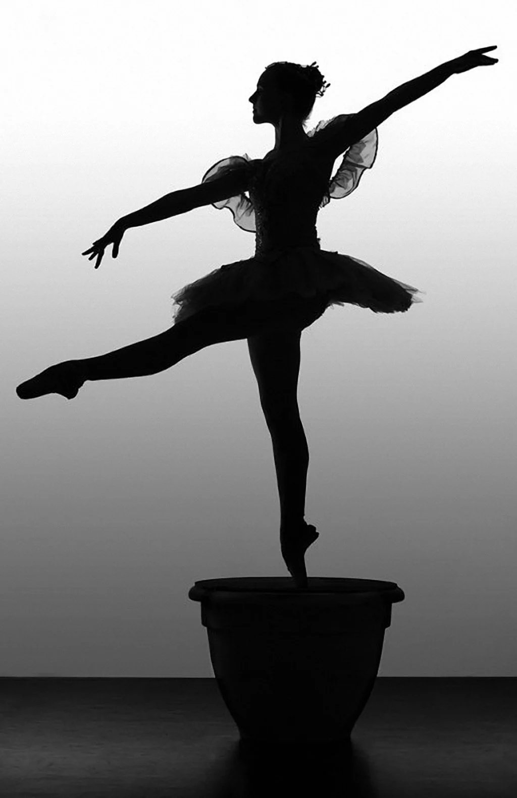 Балерины от Richard calmes