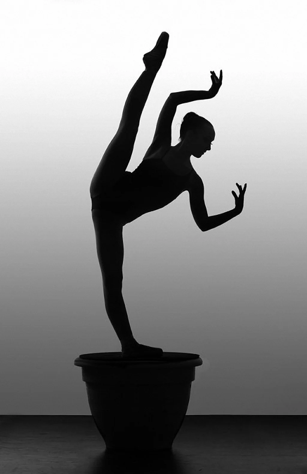 Балерины от Richard calmes