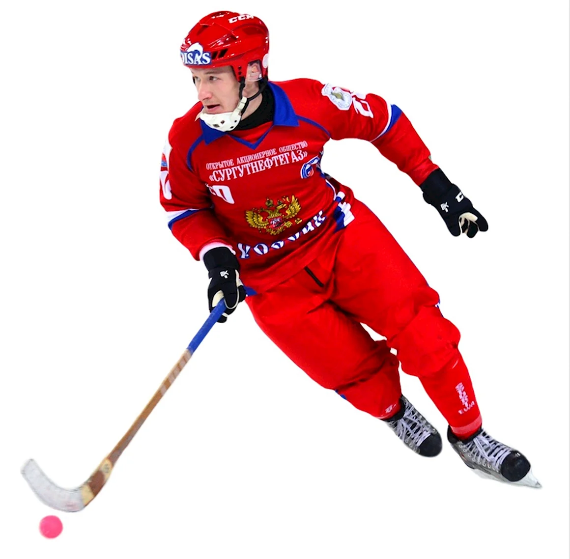 Bandy хоккей с мячом