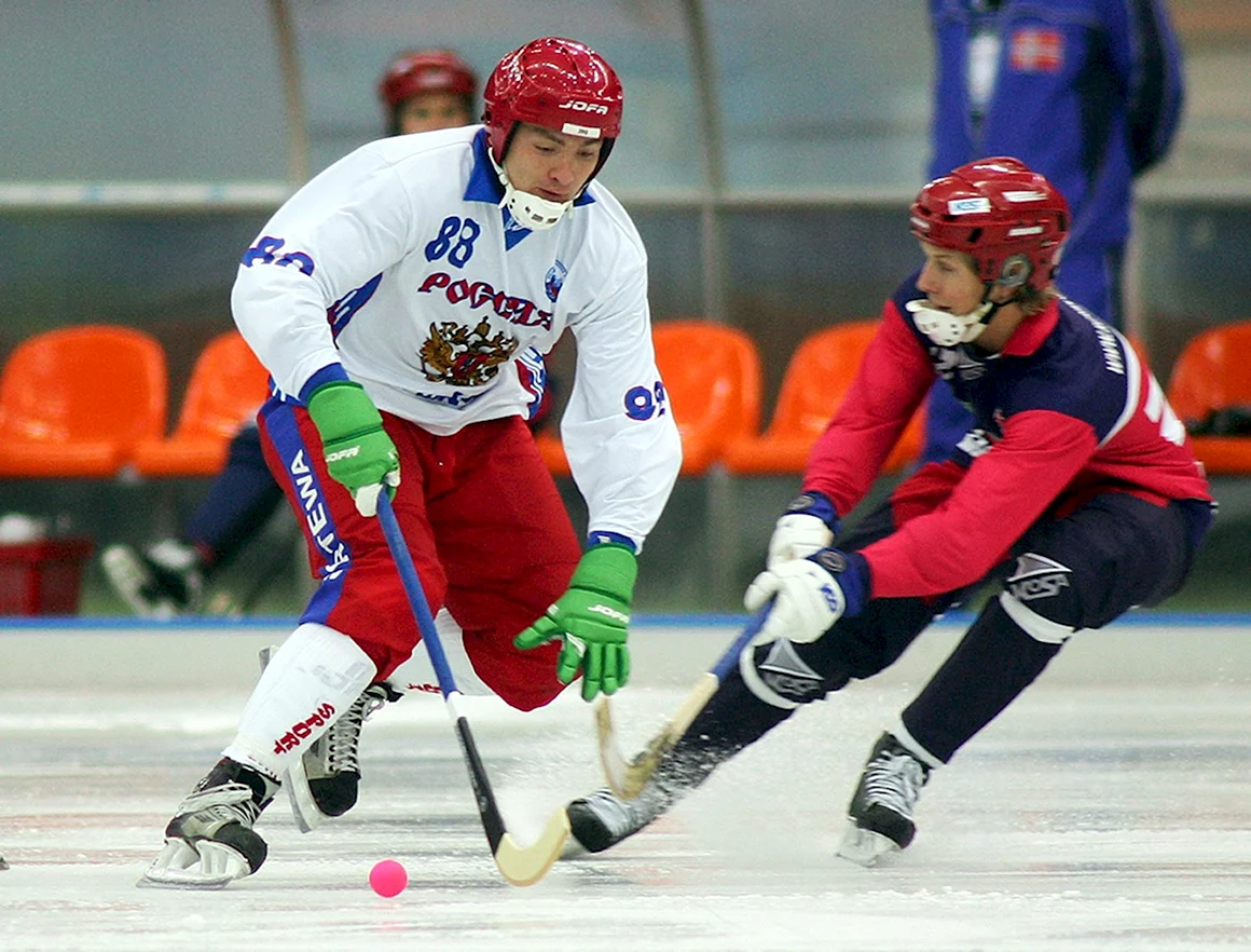 Bandy хоккей с мячом