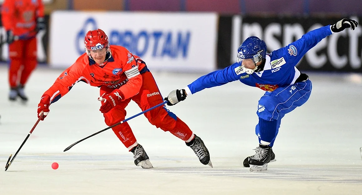 Bandy хоккей с мячом