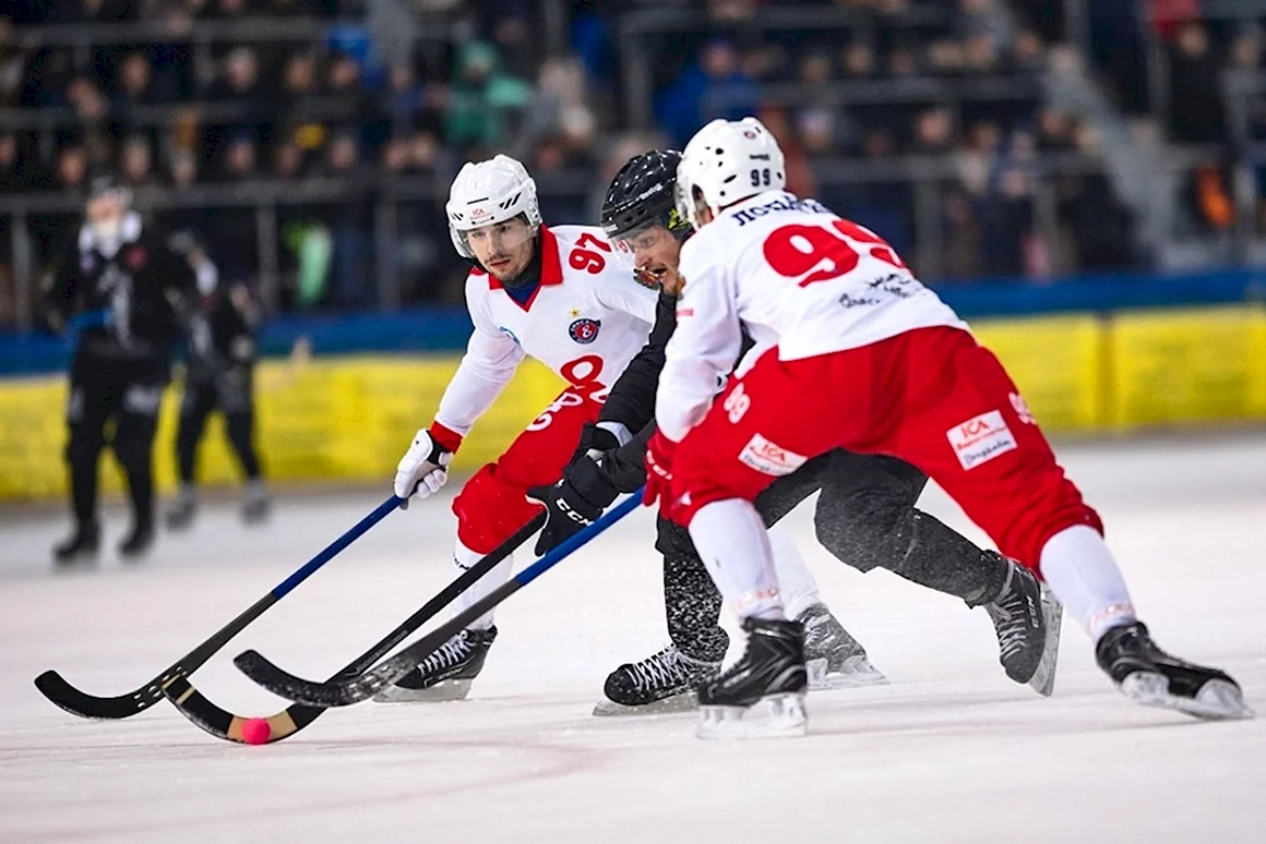 Bandy хоккей с мячом
