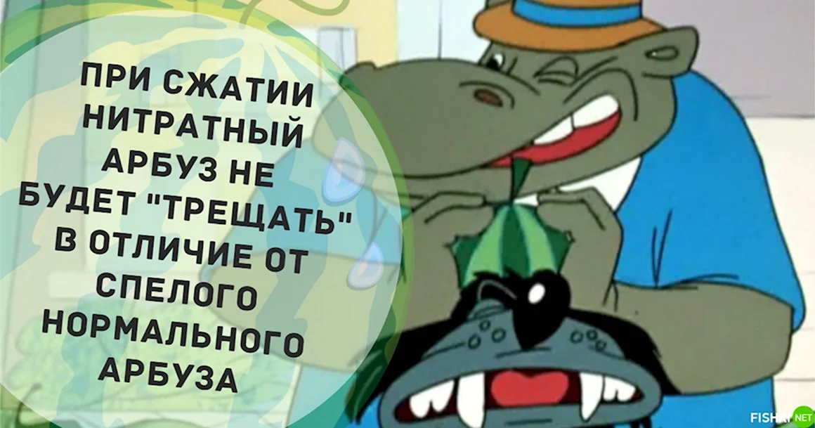Бегемот с арбузами из ну погоди