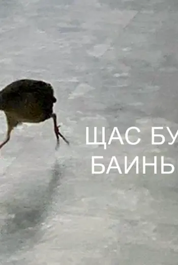 Бегу домой с работы