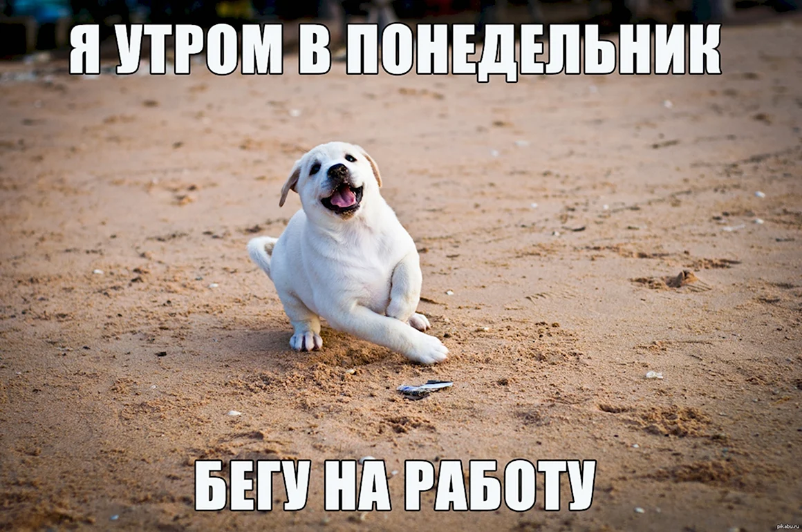 Бегу на работу