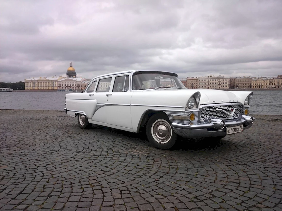 Белая Чайка 13