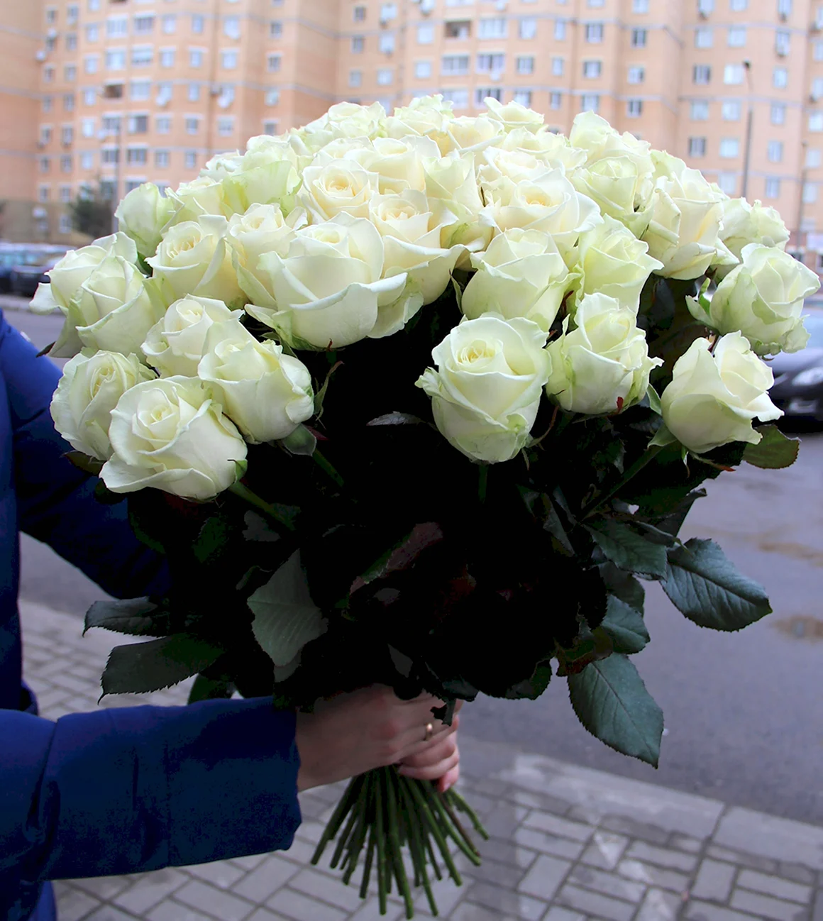 Белая роза в руке