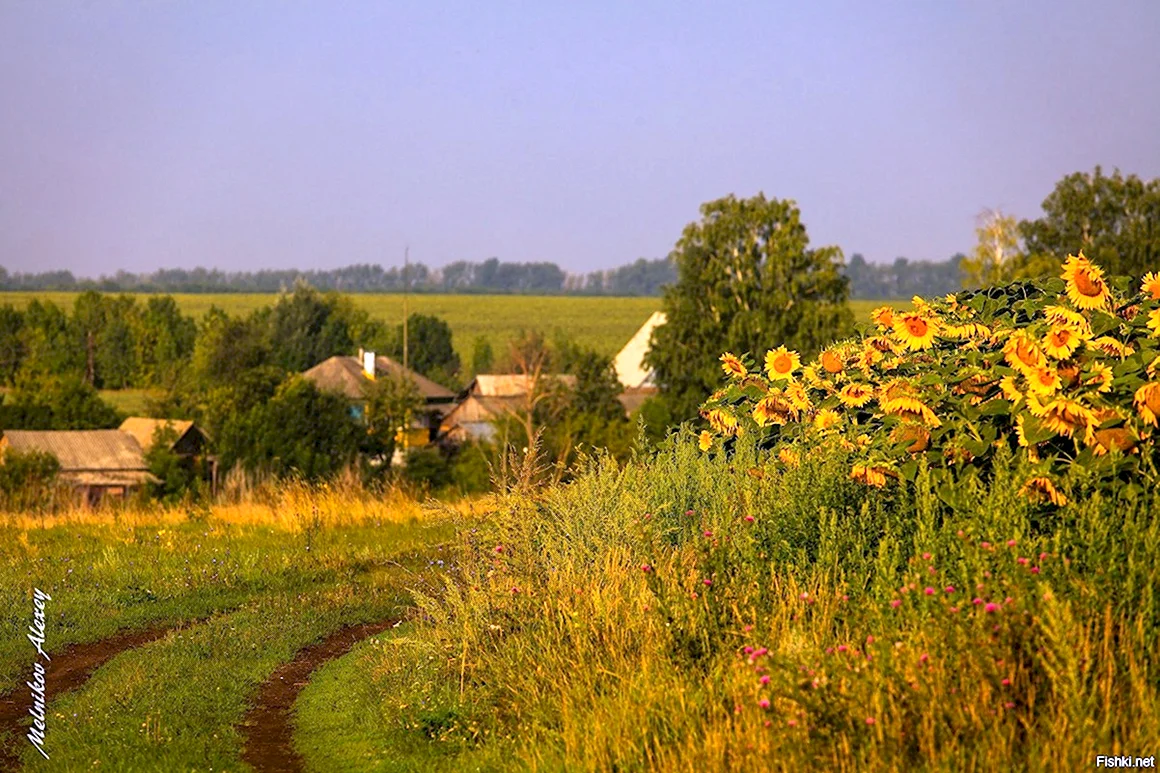 Белгород природа деревня
