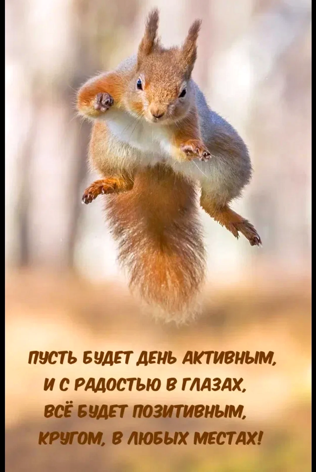 Белка