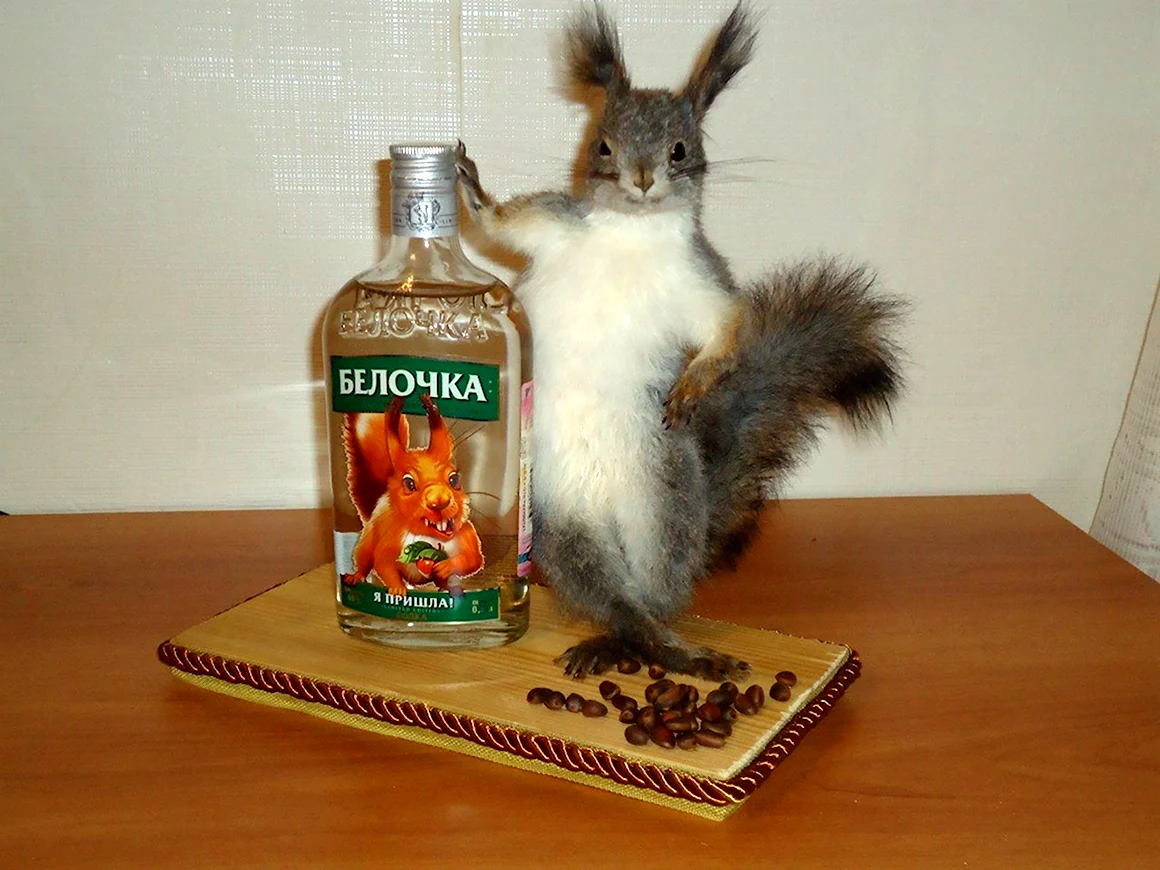 Белка с бутылкой