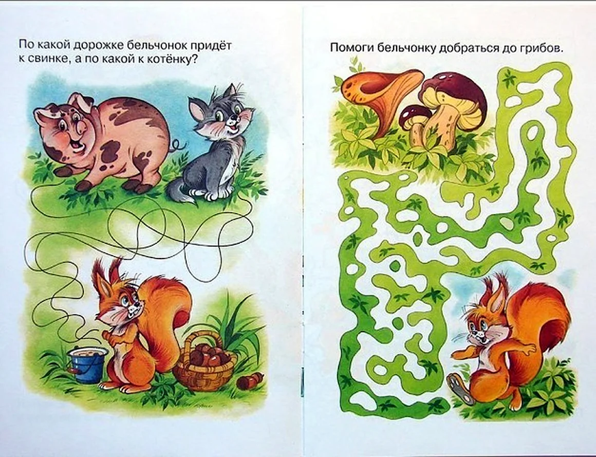 Белка задания для детей
