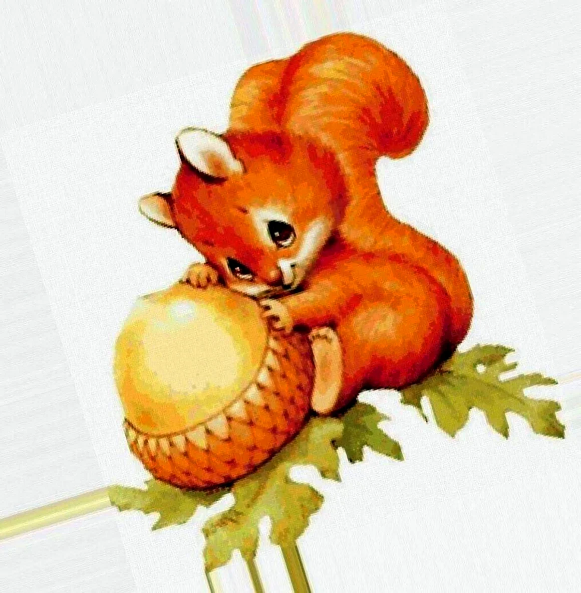 Белочка рисунок