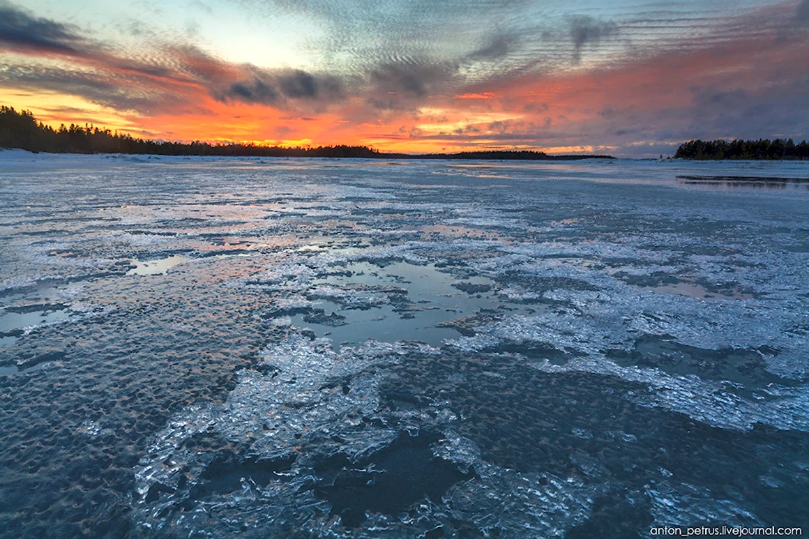Белое море Карелия