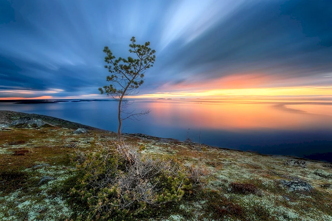 Белое море Карелия