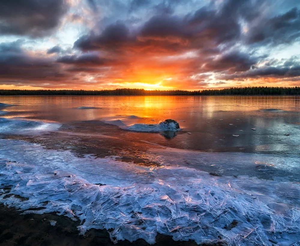 Белое море Мурманская