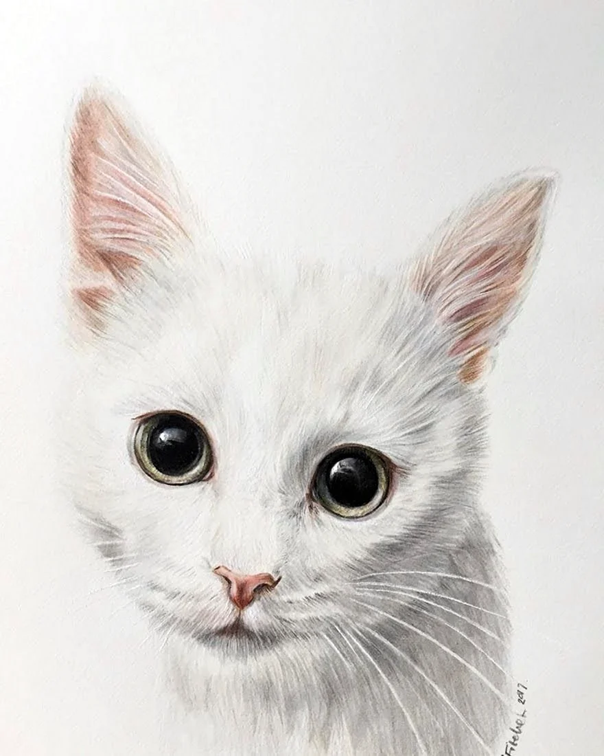 Белый кот нарисованный