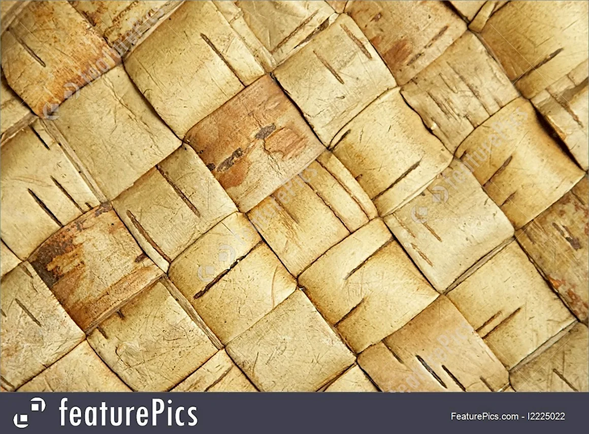 Береста фон