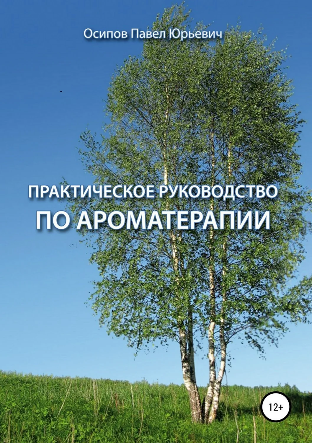 Береза