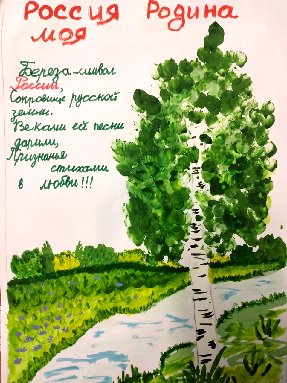 Береза символ России