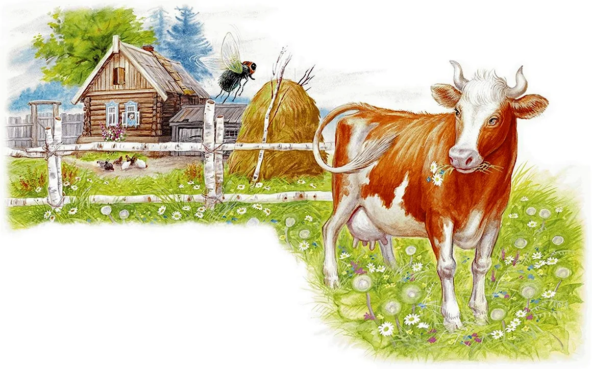 Бианки хвосты корова
