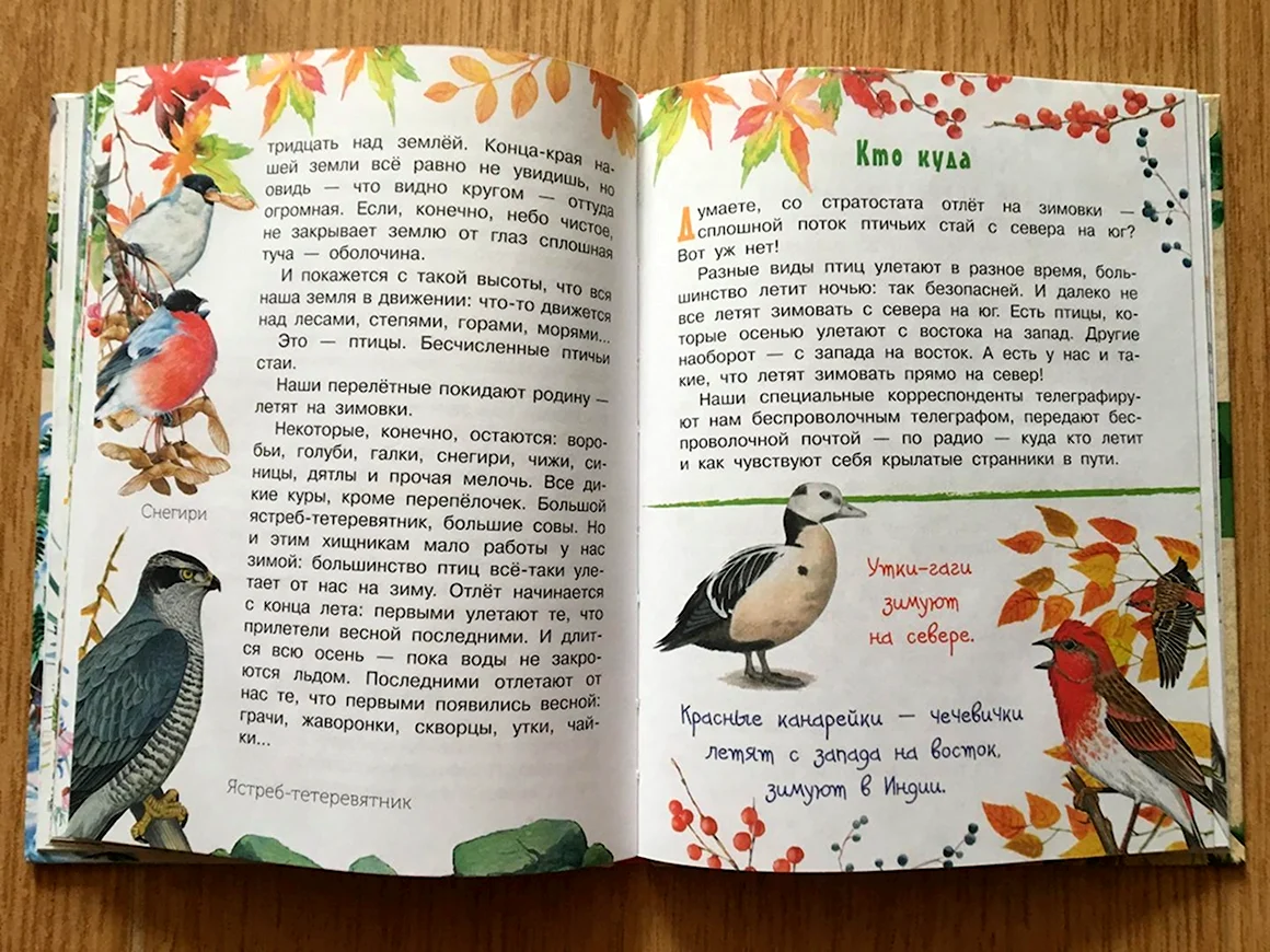 Бианки музыкальная канарейка