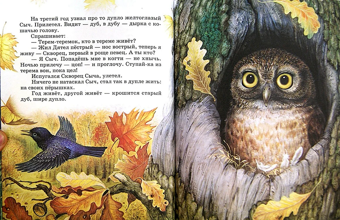 Бианки Теремок Сыч