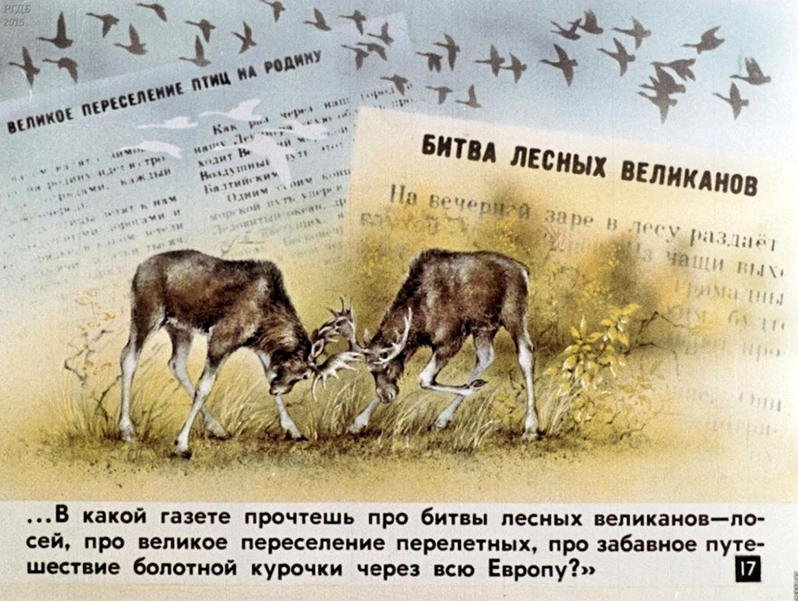 Битва лесных великанов Бианки
