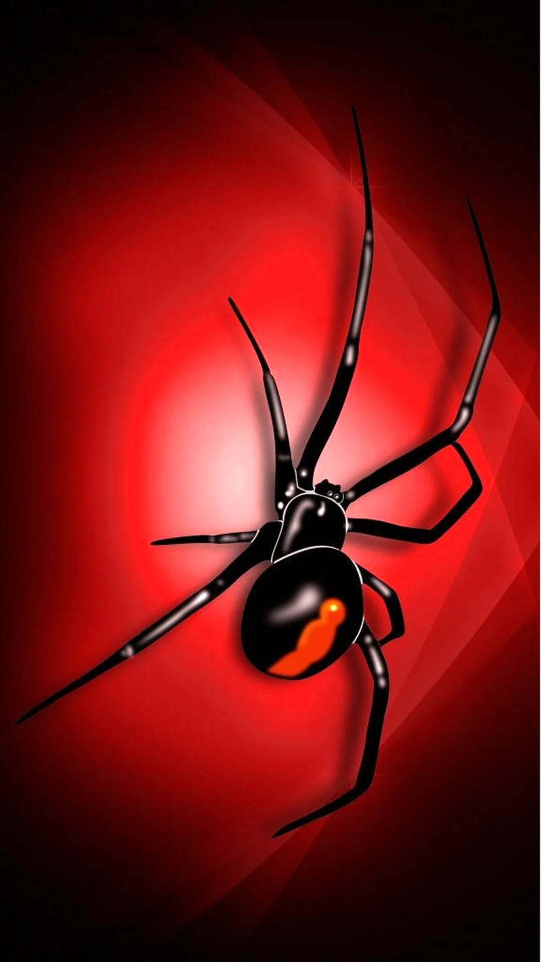 Black Widow паук