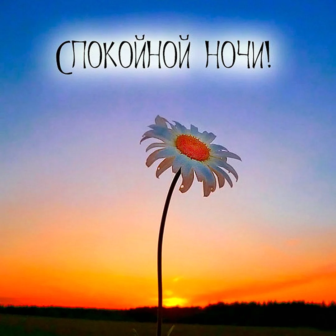 Благословенной ночи