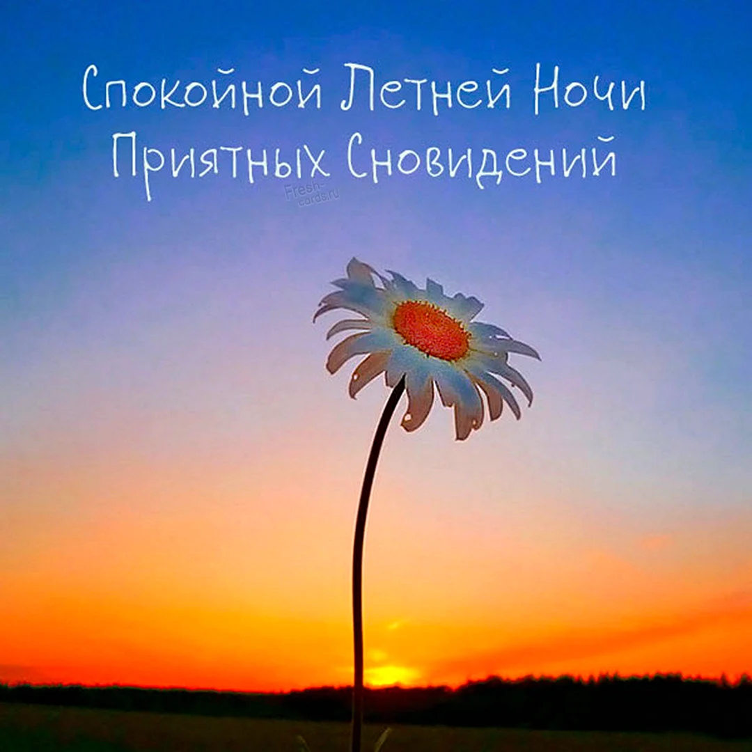Благословенной ночи