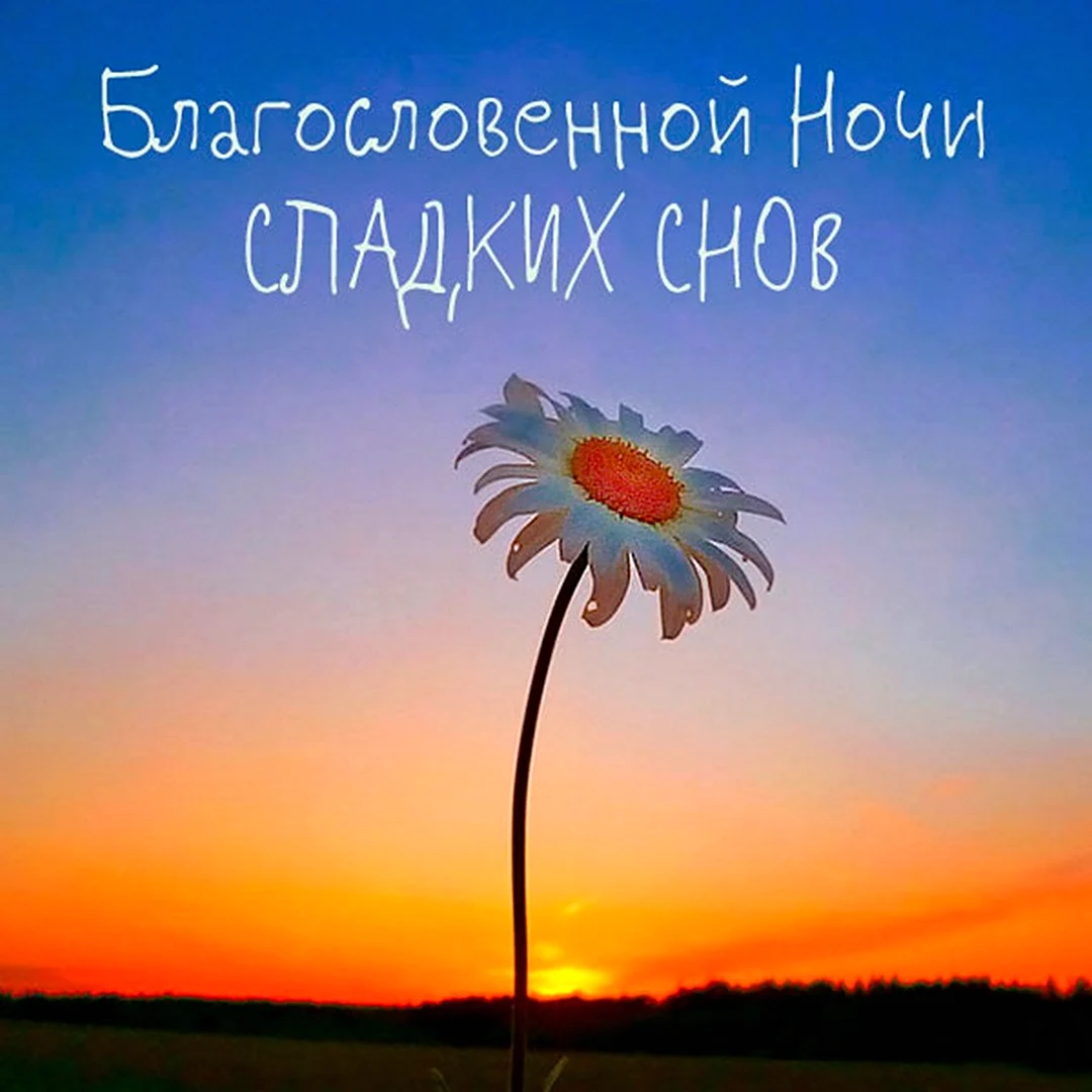 Благословенной ночи