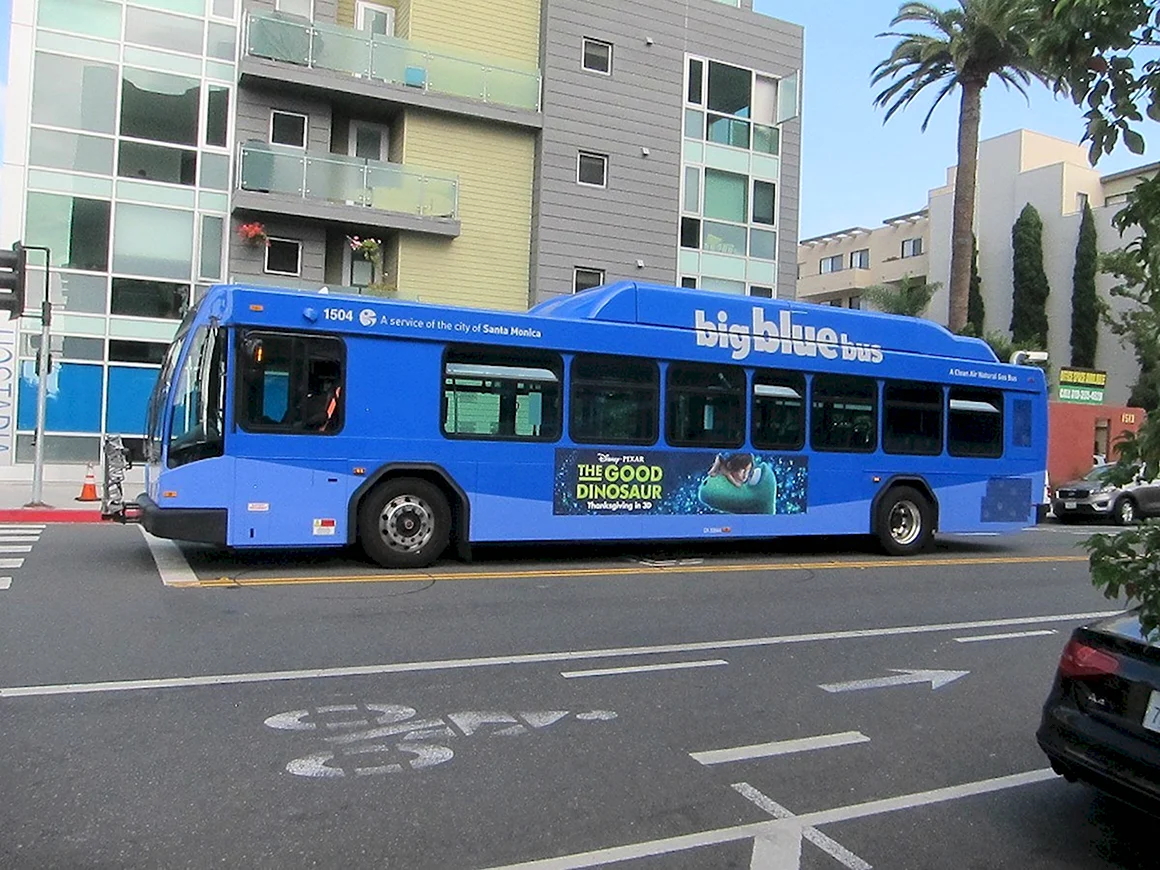 BLUEBUS автобус