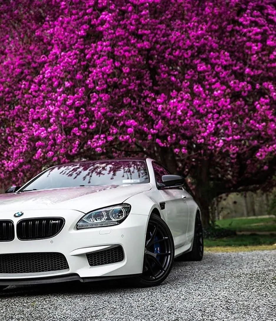 BMW m6