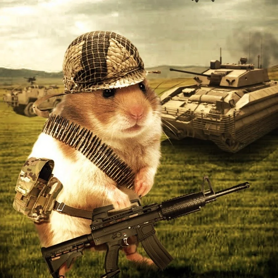 Боевой хомяк